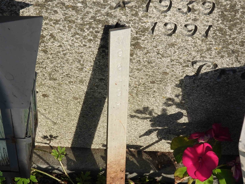 Gravnummer: BK V    96-97