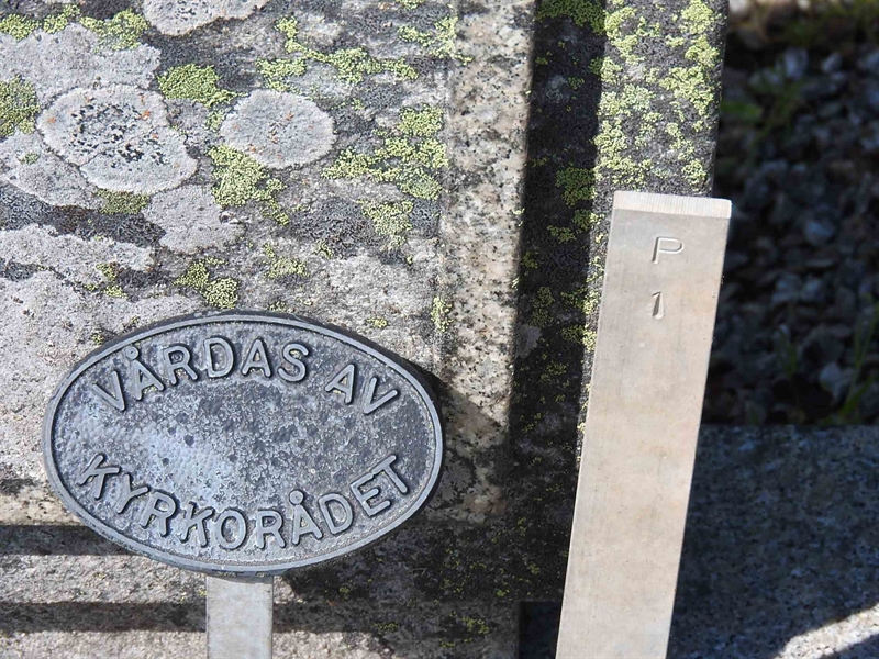 Gravnummer: BK P     1