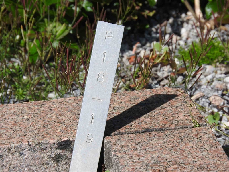 Gravnummer: BK P    18-19