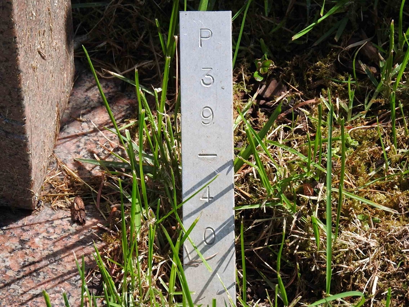 Gravnummer: BK P    39-40