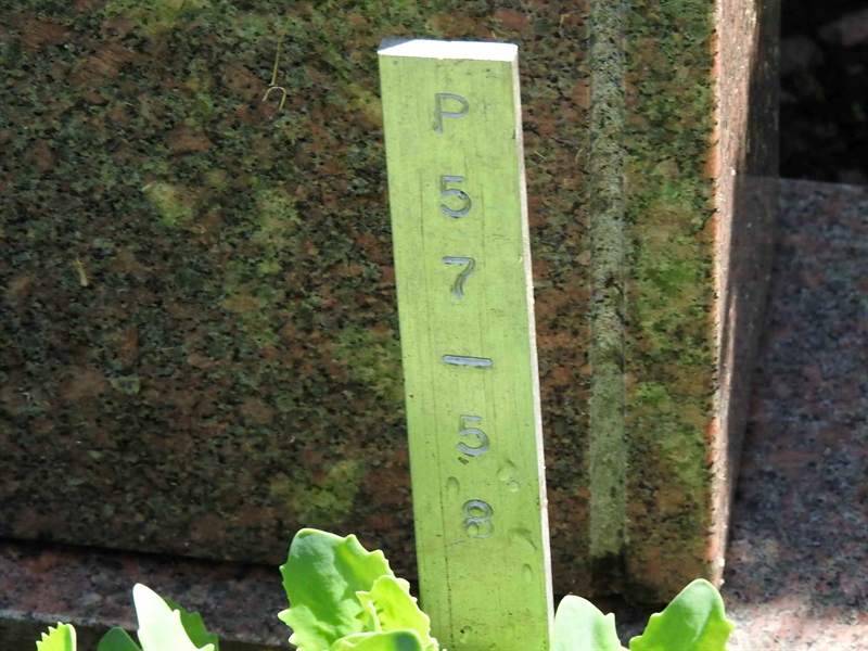 Gravnummer: BK P    57-58