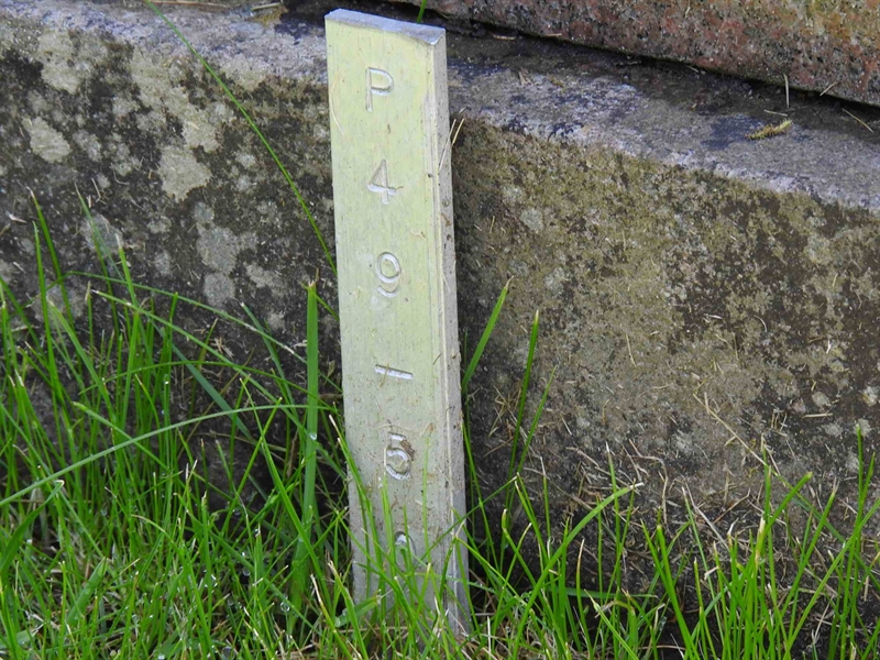 Gravnummer: BK P    49-50