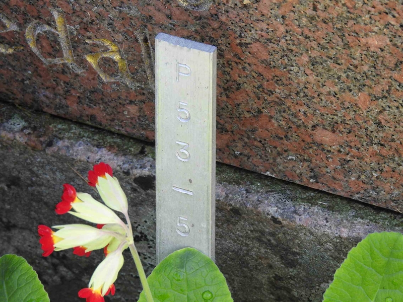 Gravnummer: BK P    53-54