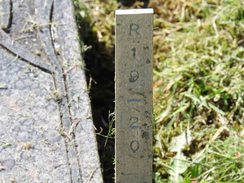 Gravnummer: BK R    19-20