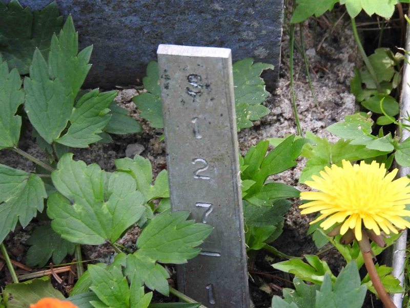 Gravnummer: BK S   127-128