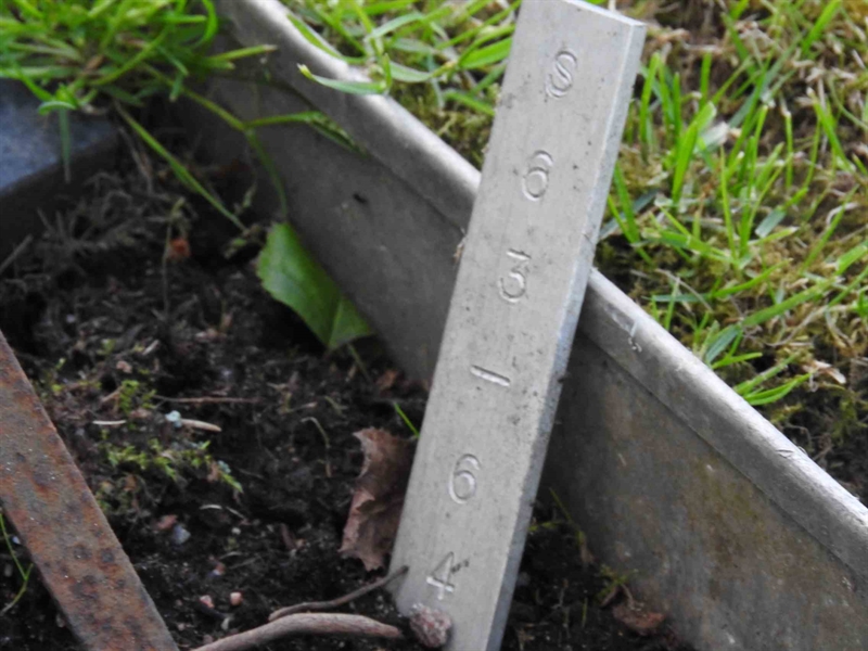 Hautatunnus: BK S    63-64