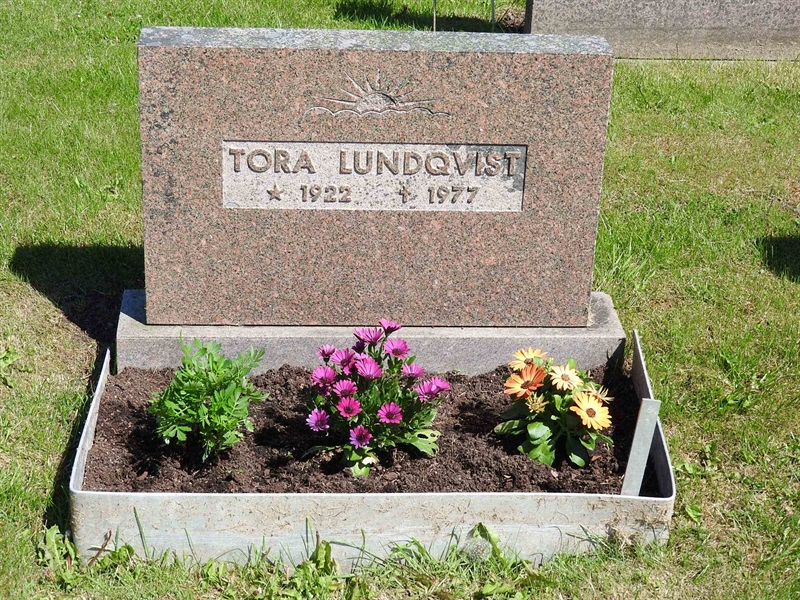 Hautatunnus: BK S     7