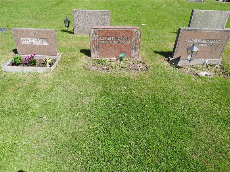 Gravnummer: BK S     8