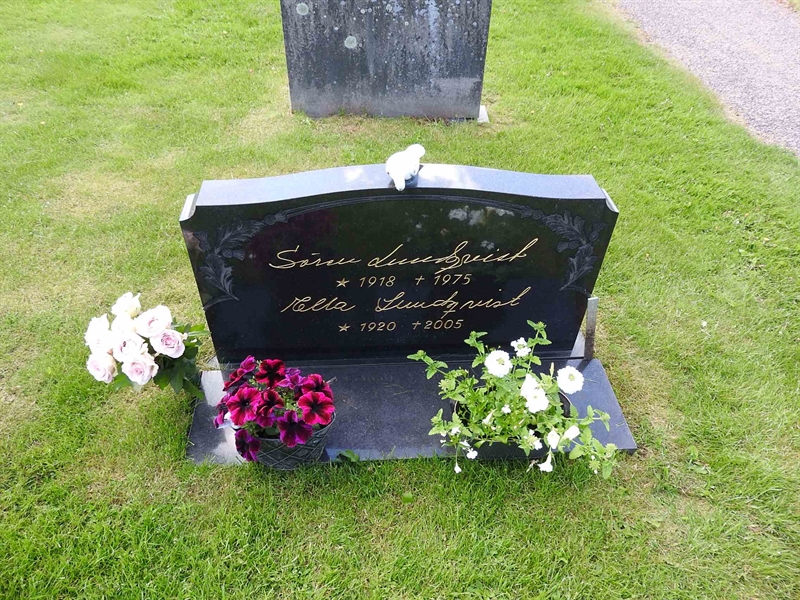 Hautatunnus: BK S    81-82