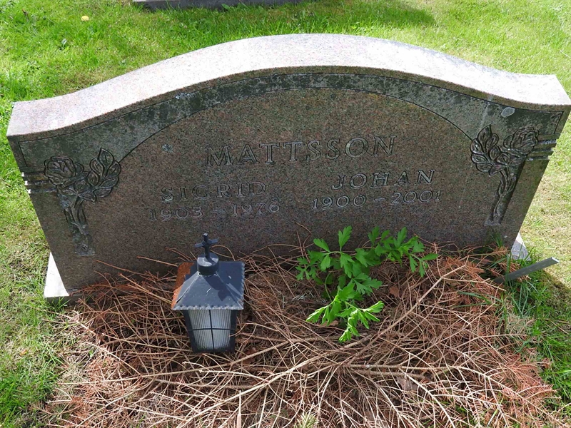 Hautatunnus: BK S    95-96