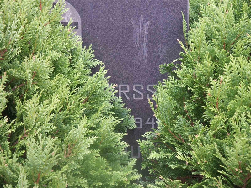 Grave number: KK NÖ C    43-44