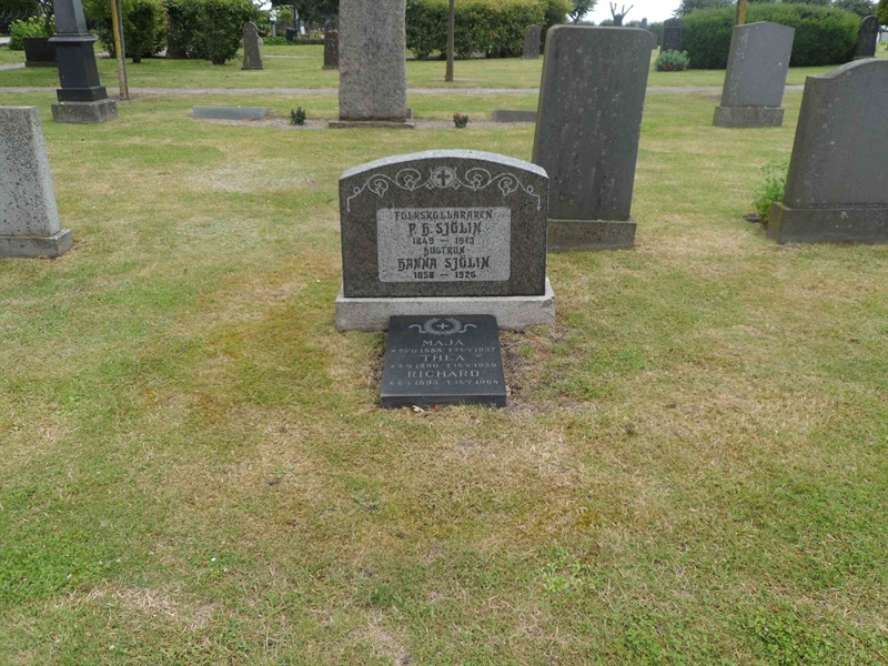 Grave number: ÖV A    50