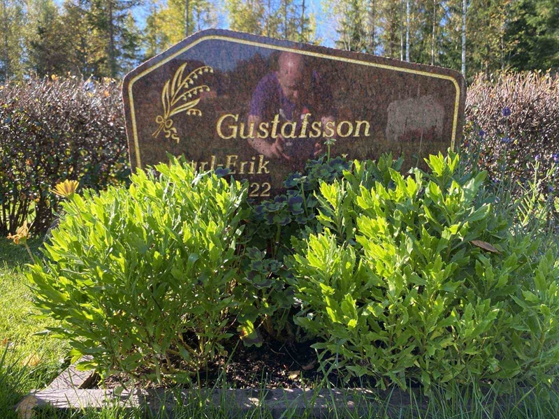 Gravnummer: 1 22    132