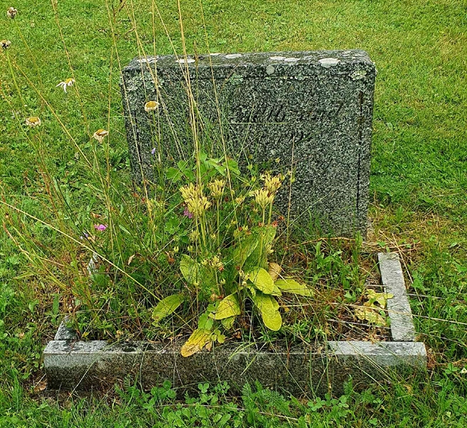 Gravnummer: 4 4   192-193