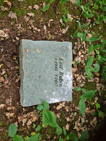 Grave number: PS 304    54