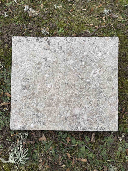 Gravnummer: LE   533, 534