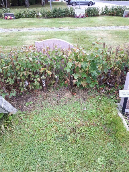 Gravnummer: NK F B    24