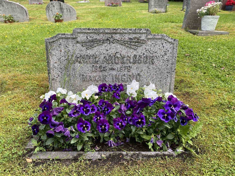 Grave number: 1 02    46