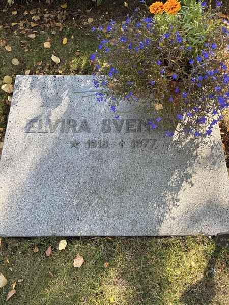 Grave number: 22 D   175