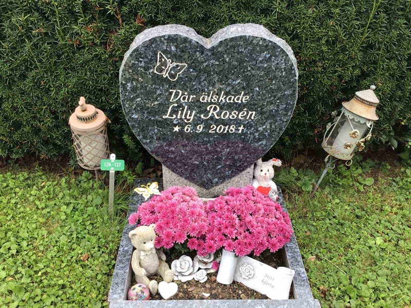 Hautatunnus: Kaga ny   126-127