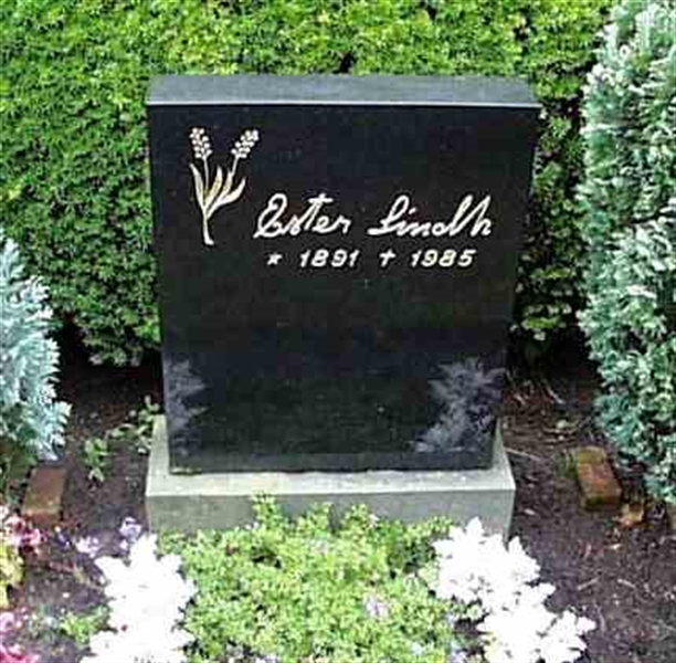 Grave number: BK J     7