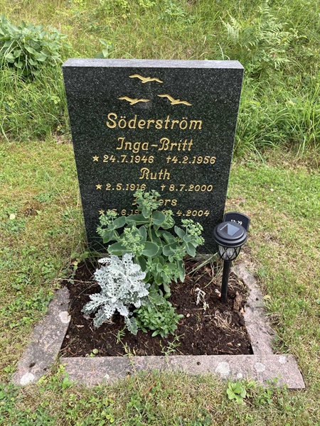 Grave number: 1 13    29