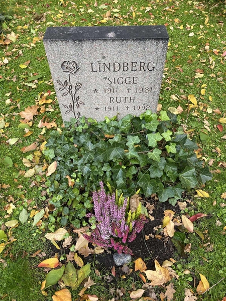 Gravnummer: 1 H   263