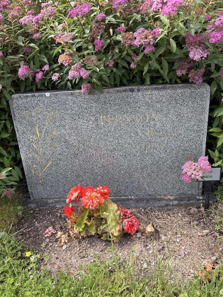 Grave number: TUR  1659