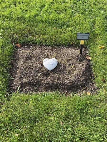 Hautatunnus: 2 G    37