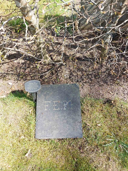 Gravnummer: HÖ 8 22