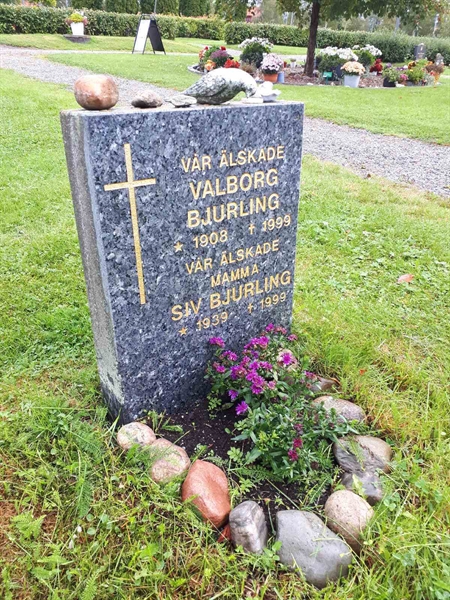 Gravnummer: NK F D   236