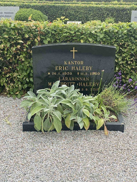 Grave number: VN Å    17