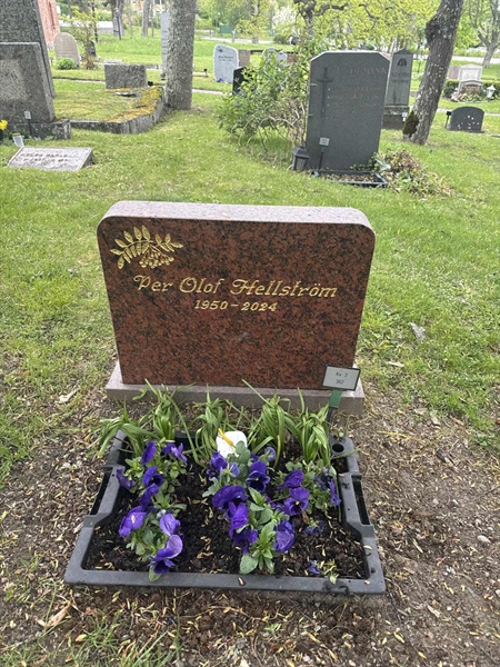 Grave number: SI 3   362