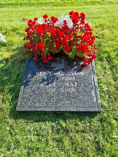 Hautatunnus: 1 01  464