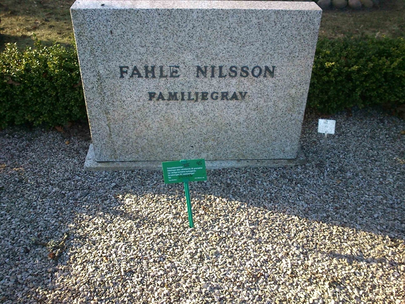 Grave number: Kg XIII    45