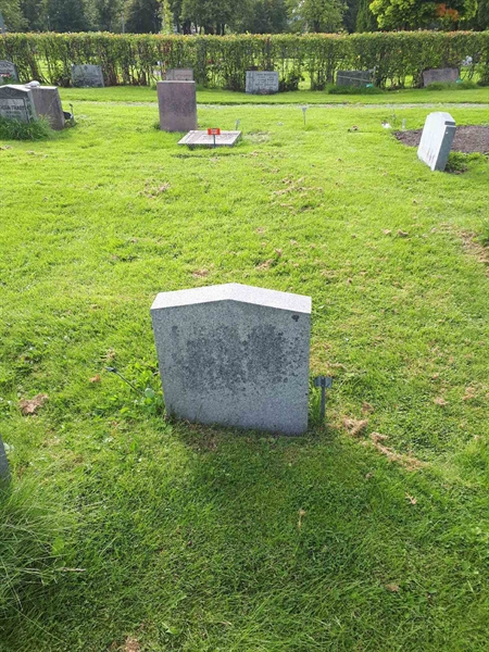 Hautatunnus: NK F B   816