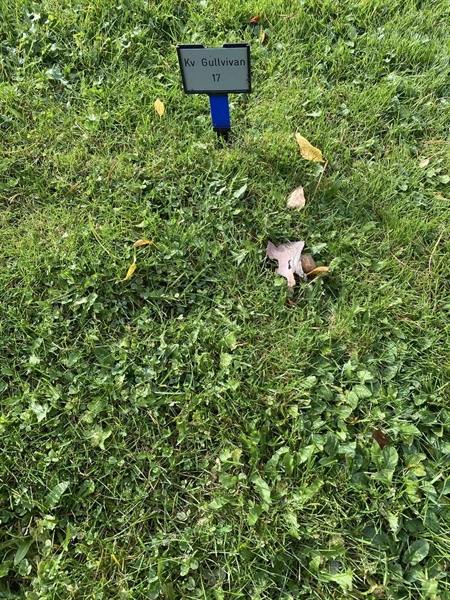 Hautatunnus: 2 G    17