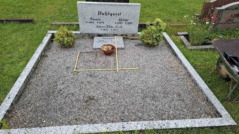 Gravnummer: 6 03    35-2