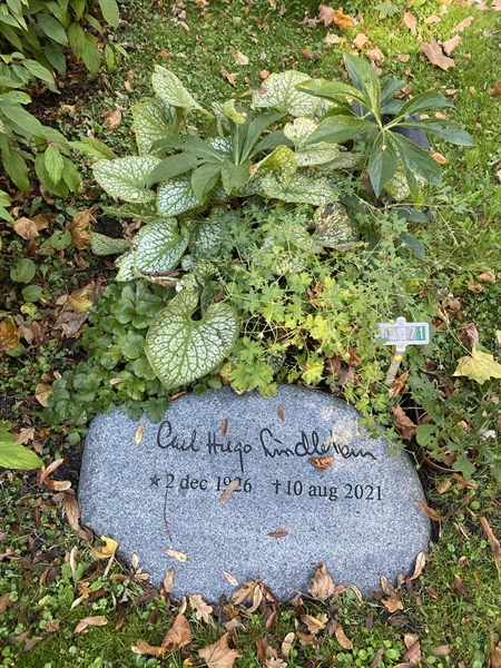 Gravnummer: 1 H   471