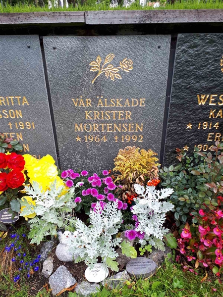 Hautatunnus: GK U 4   224