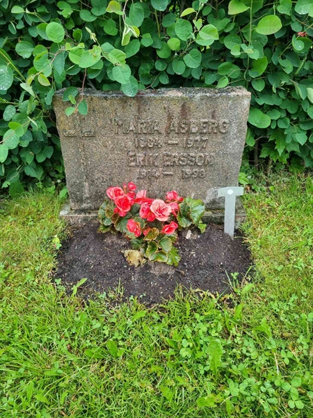 Grave number: 1 29 20