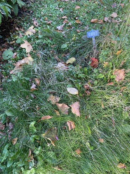 Grave number: 1 H   483