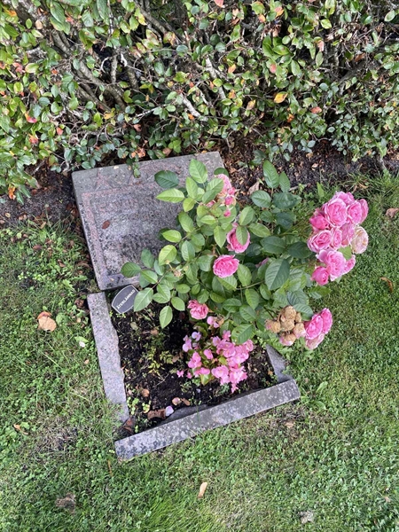 Grave number: 22 D   129-130