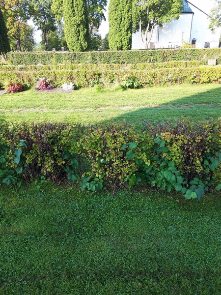 Gravnummer: NK F G   216