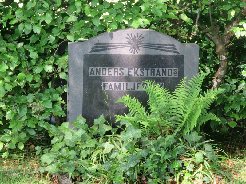 Grave number: HÖB 29     7