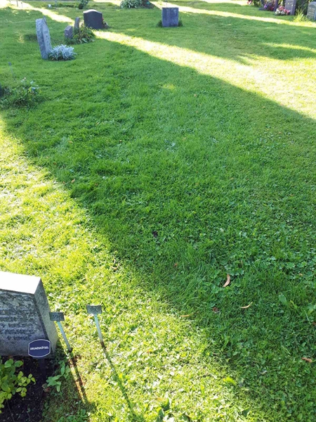 Gravnummer: NK A A   393