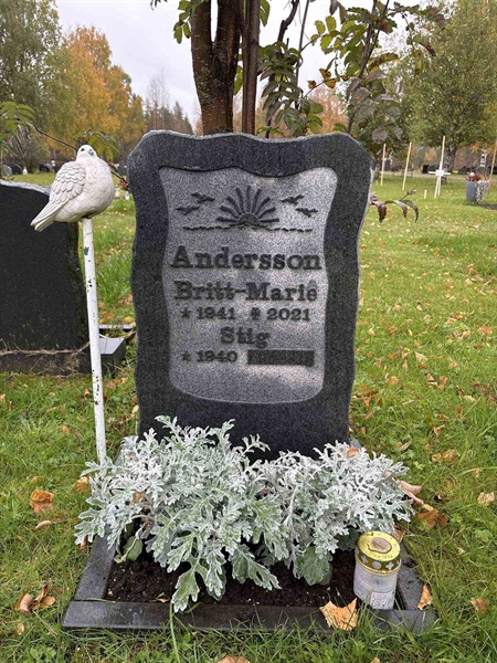 Hautatunnus: NK 21   100-101