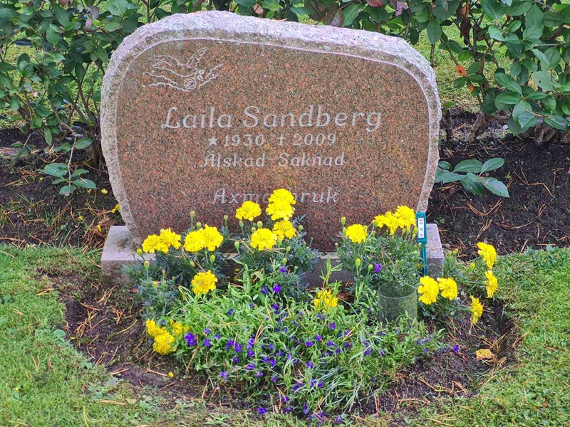 Grave number: Ö V A   33