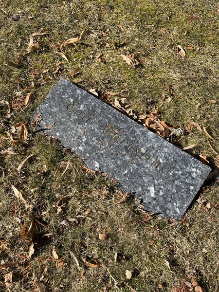 Hautatunnus: Ärt 24 10 19