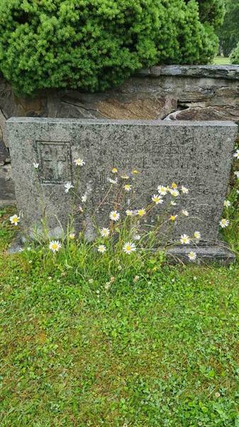 Hautatunnus: M G 15 25-28